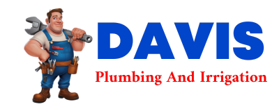 Trusted plumber in MAXIMO